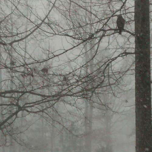 Appalling : Demo 2016